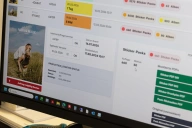 Die Auftragsübersicht der Middleware: Auflage, Termine, Status und die fertig montierten Druck-PDFs auf einen Blick